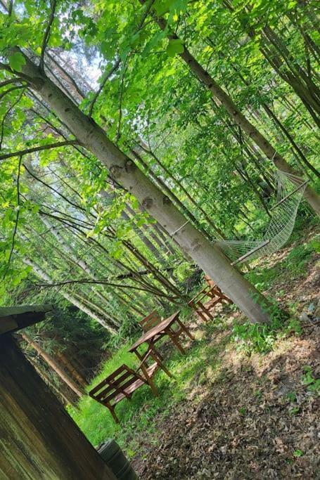 Chalet Na Debowej- Dom Na Wylacznosc, Prywatny Las, 2 Pokoje, Polanica Zdroj Szczytna