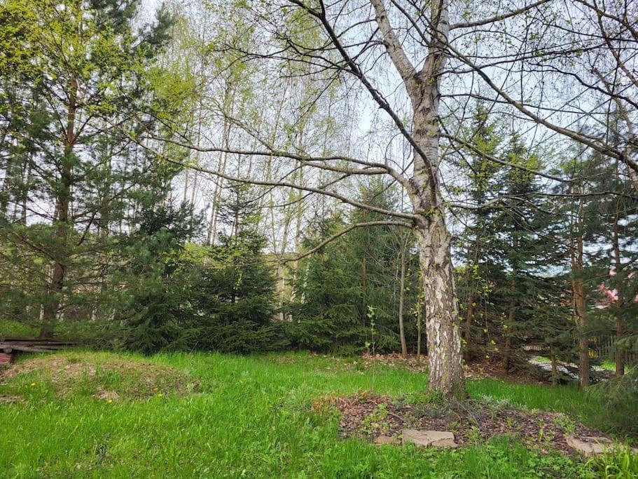 Na Debowej- Dom Na Wylacznosc, Prywatny Las, 2 Pokoje, Polanica Zdroj Chalet *