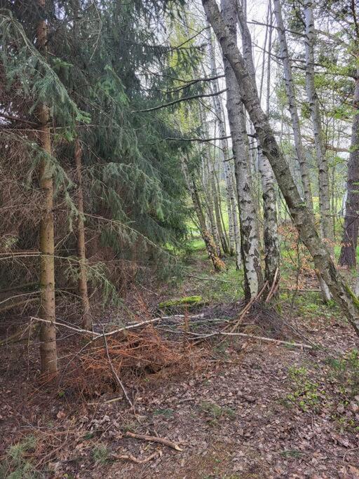 Na Debowej- Dom Na Wylacznosc, Prywatny Las, 2 Pokoje, Polanica Zdroj Chalet