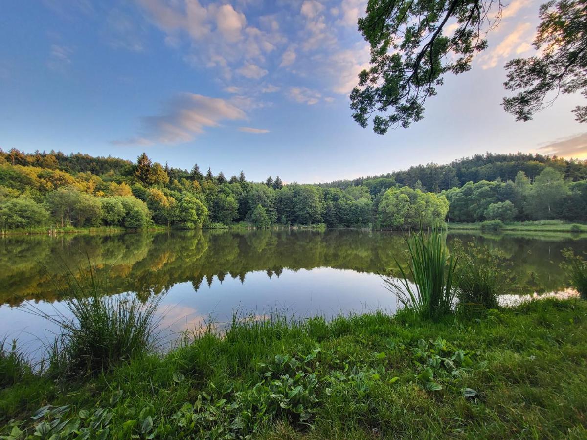 Chalet Na Debowej- Dom Na Wylacznosc, Prywatny Las, 2 Pokoje, Polanica Zdroj *