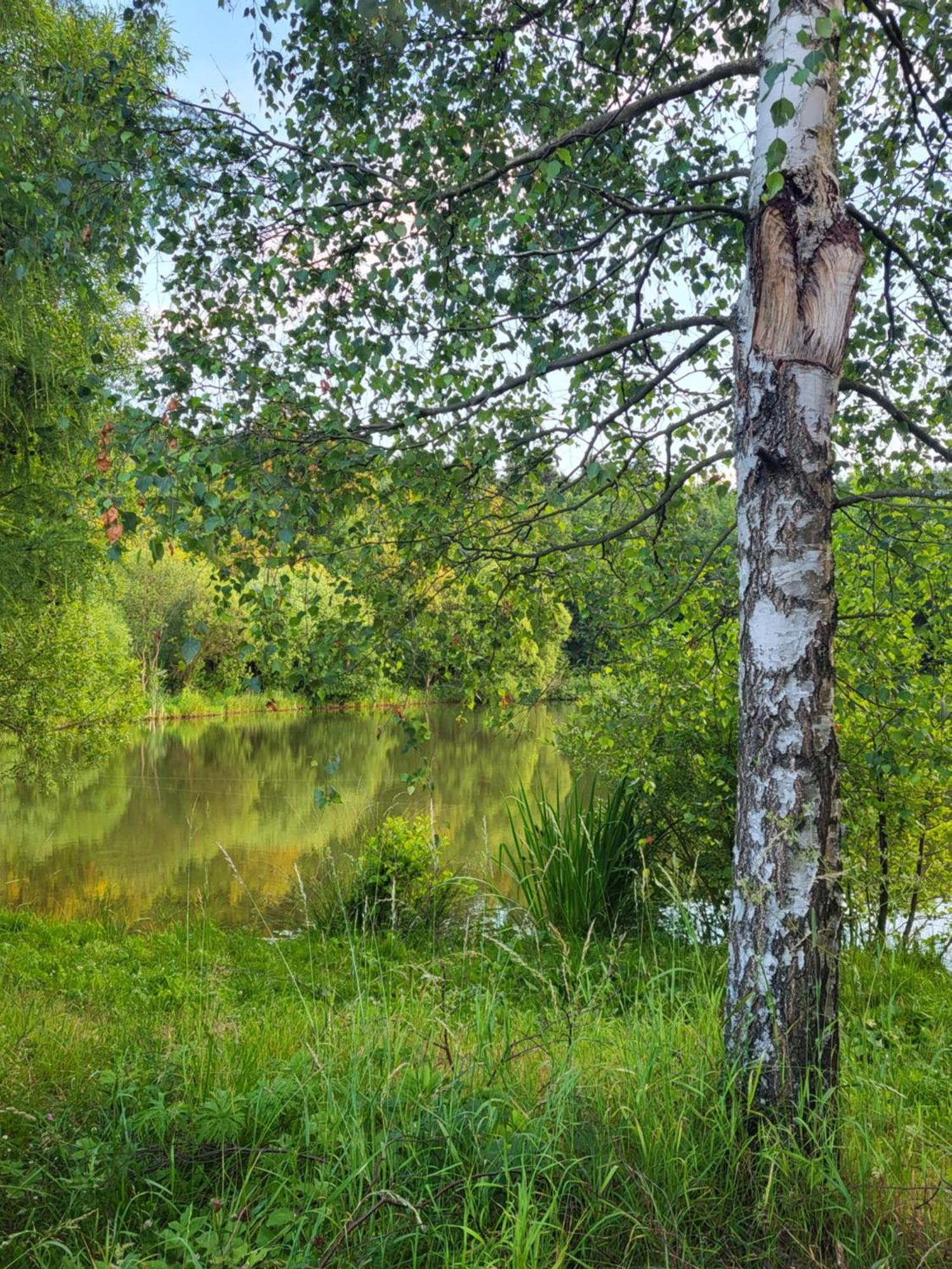 Chalet Na Debowej- Dom Na Wylacznosc, Prywatny Las, 2 Pokoje, Polanica Zdroj