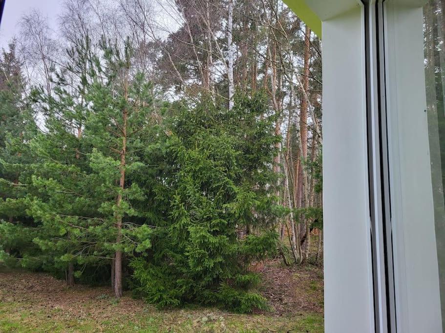 Na Debowej- Dom Na Wylacznosc, Prywatny Las, 2 Pokoje, Polanica Zdroj Szczytna